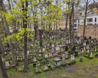 Blick aif den Alten Jüdischen Friedhof von oben