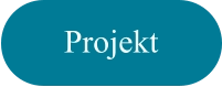 Projekt